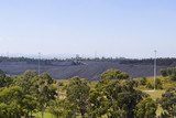 Mining Photo Stock Library - coal stacker stockpiling with green trees in foreground. good sustainability image. ( Weight: 1  New Image: NO)
