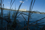 Mining Photo Stock Library - looking through reeds and over water lake at power station ( Weight: 4  New Image: NO)